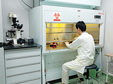 Photo:Research Center for Odontology