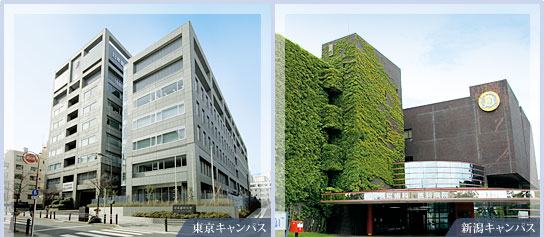 THE NIPPON DENTAL UNIVERSITY